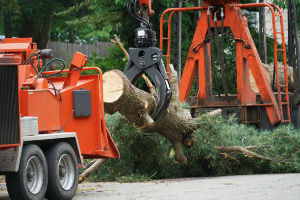 Best Grass Overseeding  in Stratford, CA