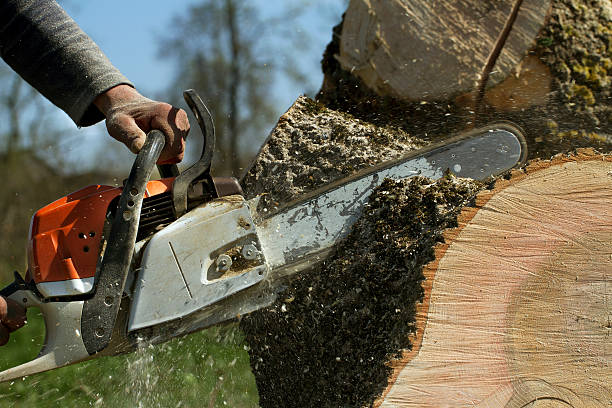 Best Aeration Services  in Stratford, CA
